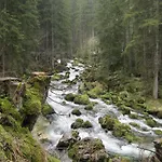 Goldener Ochs Bed & Breakfast 3*