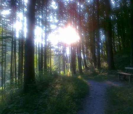 Goldener Ochs Golling an der Salzach