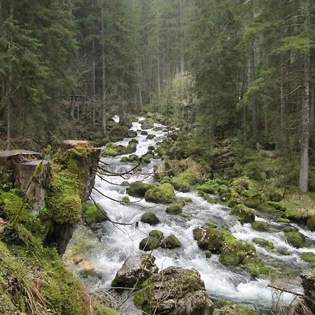 Goldener Ochs Oda ve Kahvaltı 3*